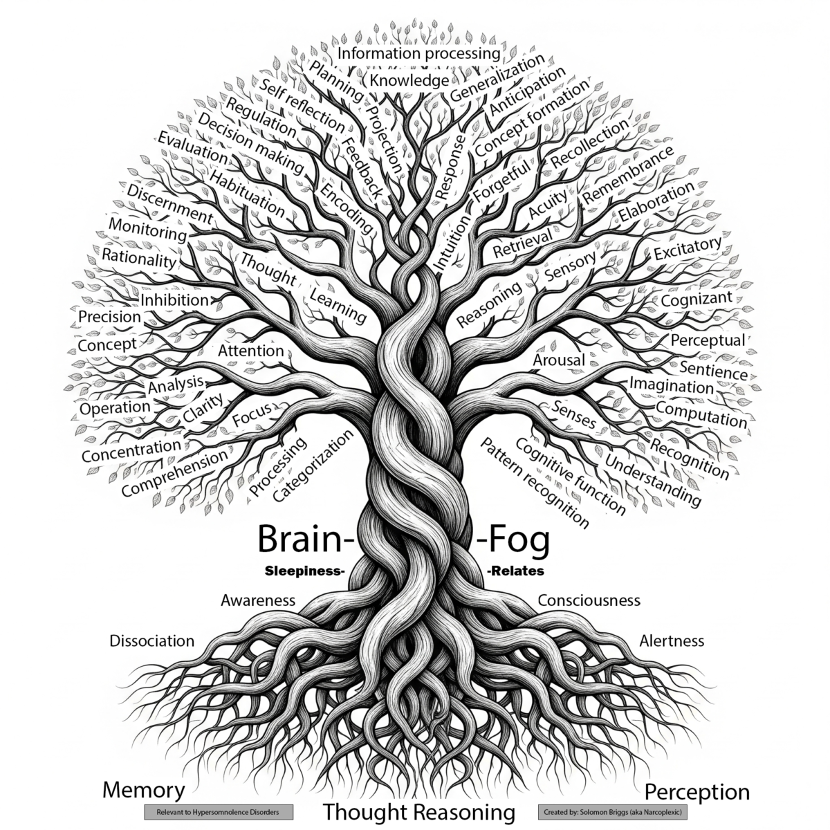 The Unrecognized Link: Sleepiness and Cognition – ‘Brain Fog ...
