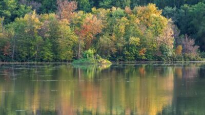 Fall Colors and Reflections