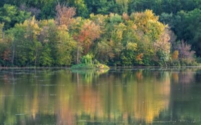 Fall Colors and Reflections